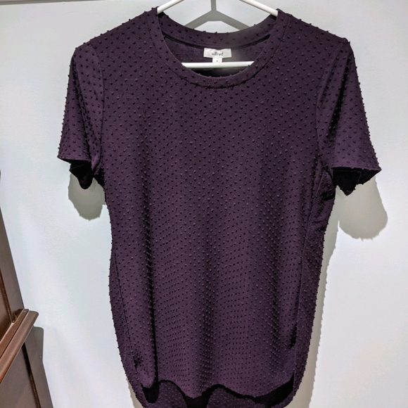 Purple Aritzia Tee/Tunic